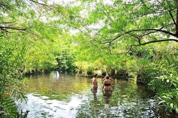 Aguas Termales 2