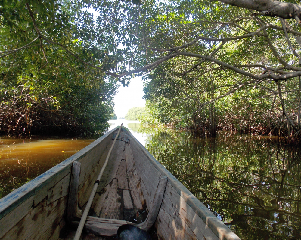 Ciénaga Grande 5