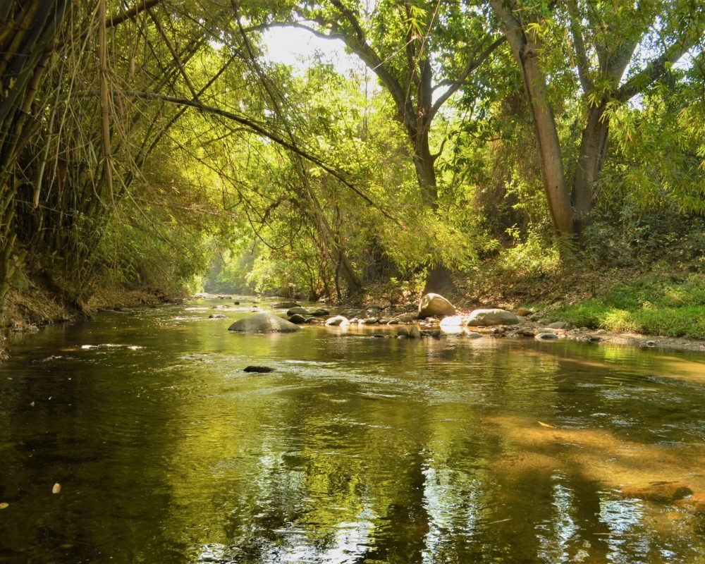 Rio Toribio